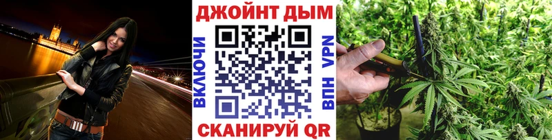 Шишки марихуана Bruce Banner  Купить где  Волхов 